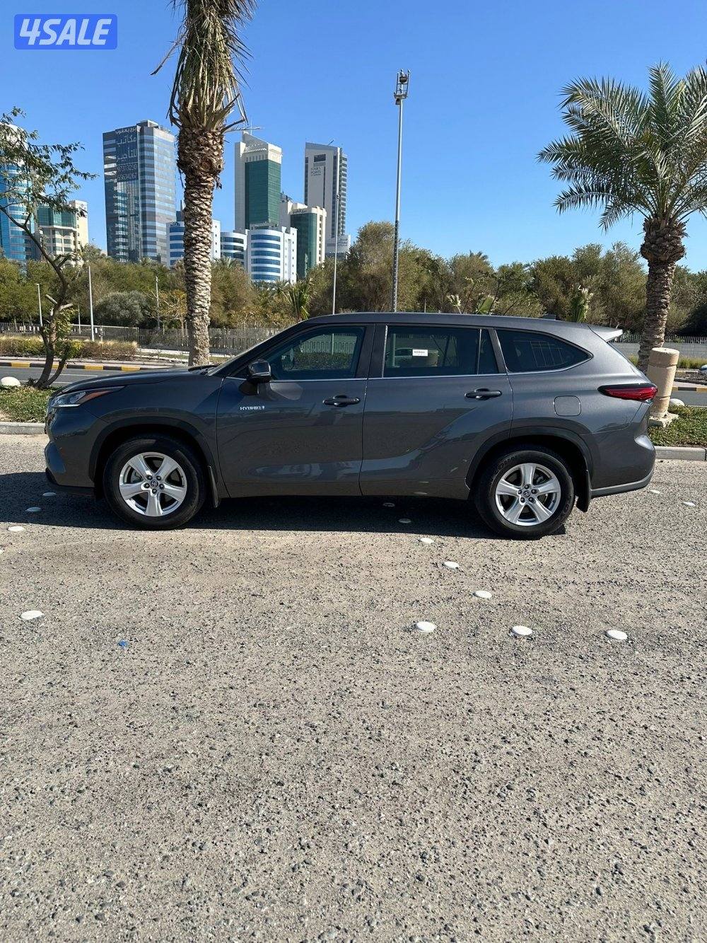 هايلاندر هايبرد1