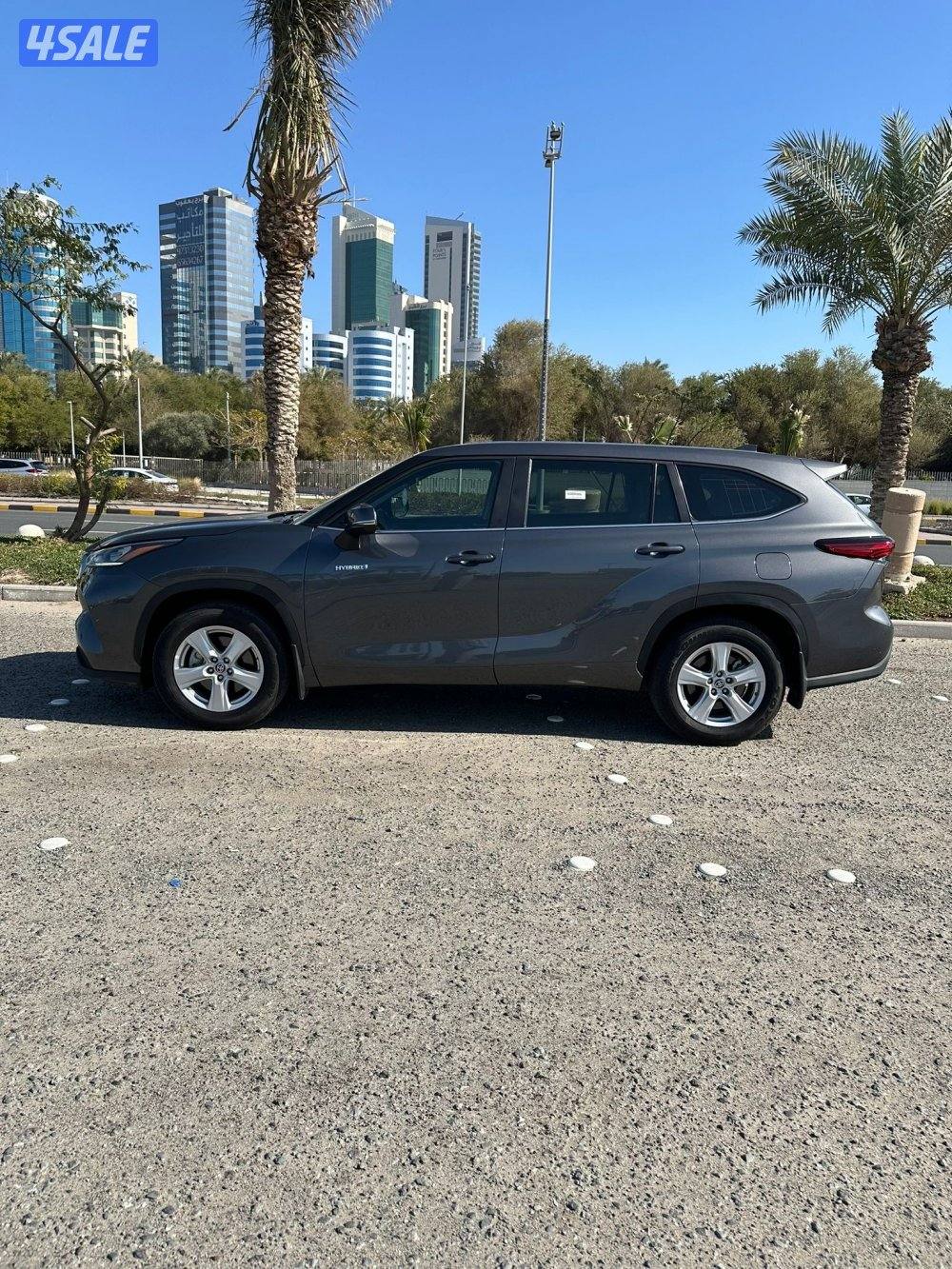 هايلاندر هايبرد10