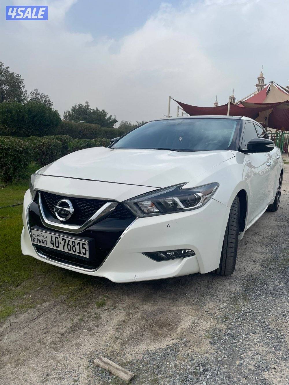 ماكسيما ٢٠١٨0