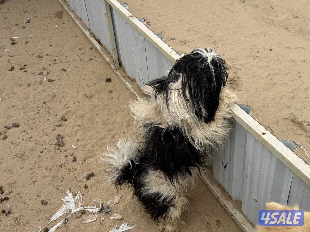 خلف شبك الاذاعه3