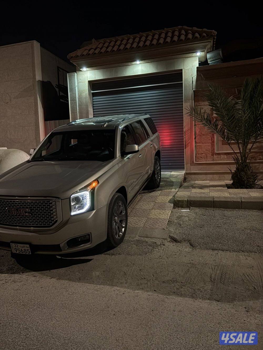 دينالي ممشى 1901