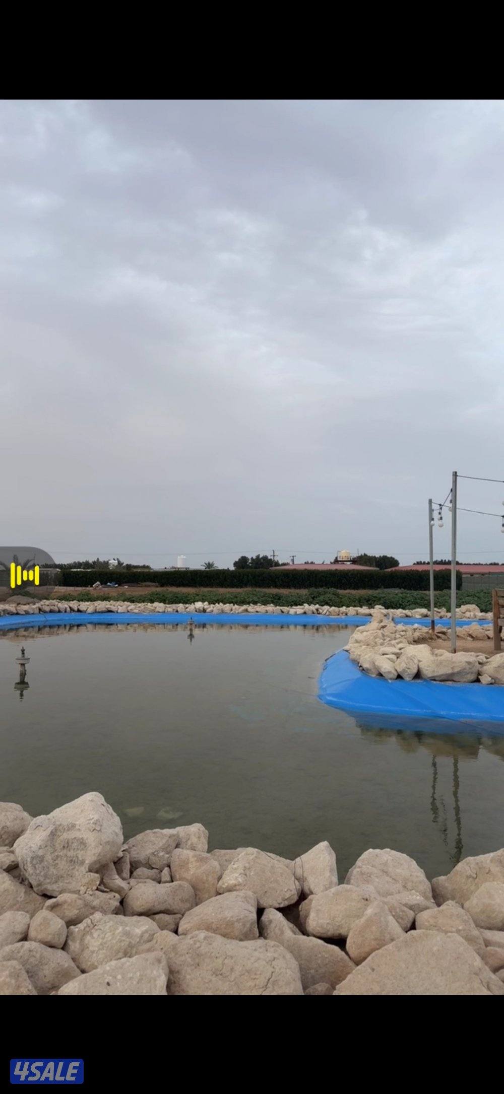 للأيجار مزرعه شهري وسنوي13