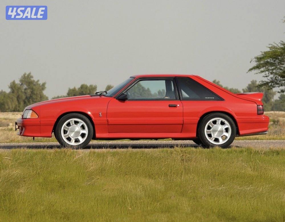 للبيع كوبرا 1993 عداد 50 الف ميل وراد امريكا ستوك كل شي وكالة6