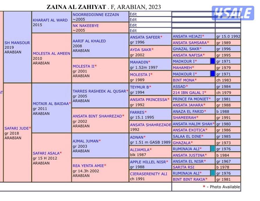 مهـره مصـريه فاخـره🔥2