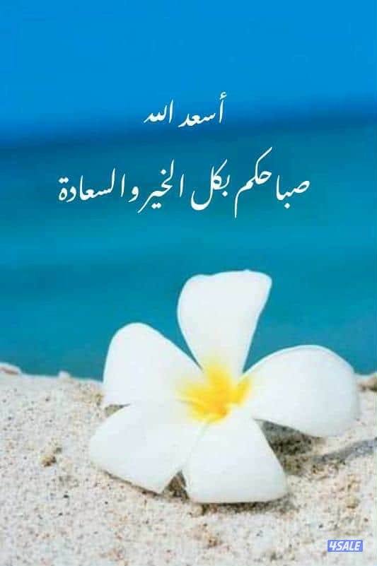 تدريس كيمياء0