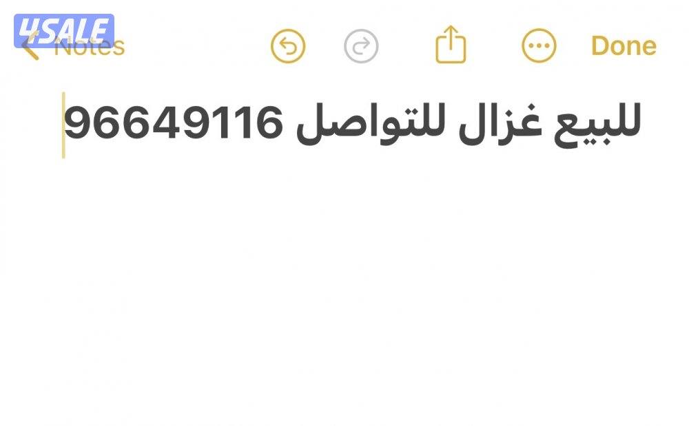 غزال للبيع3