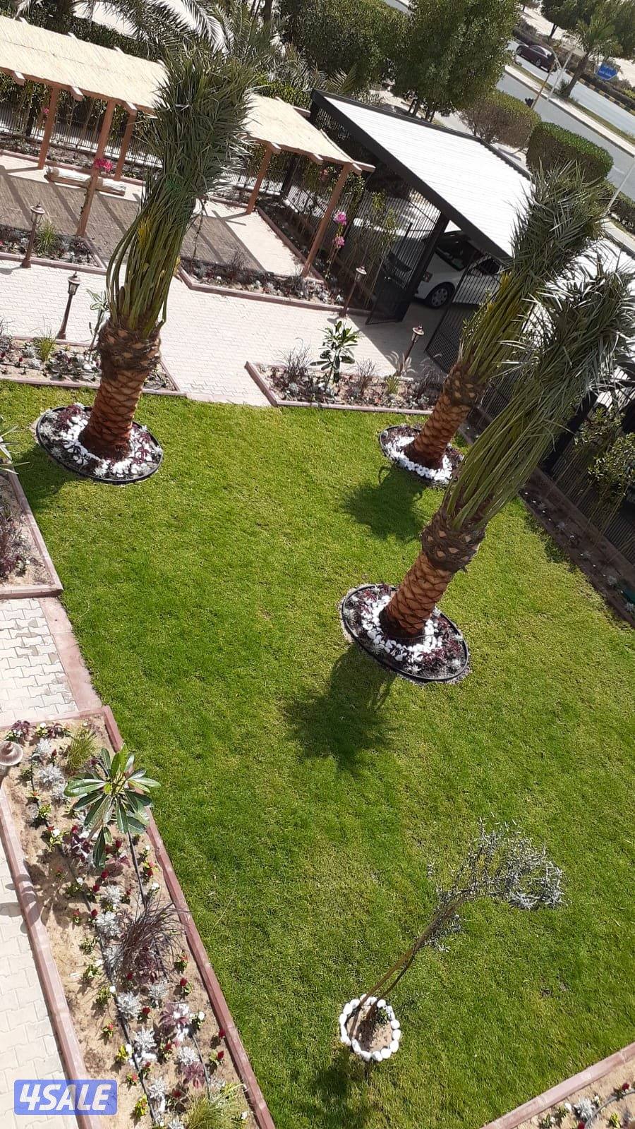 زراعة وتنسيق حدائق8