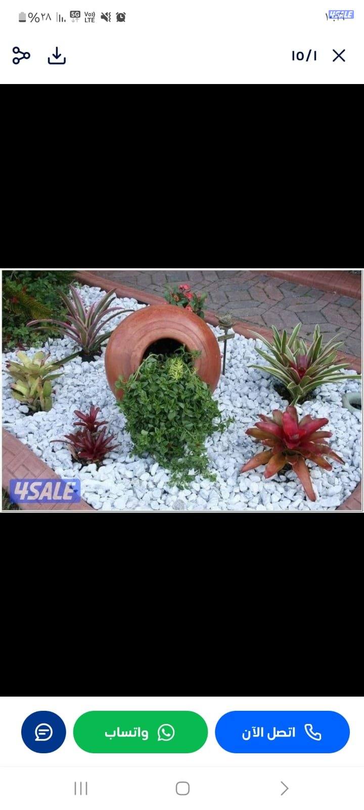 زراعة وتنسيق حدائق9