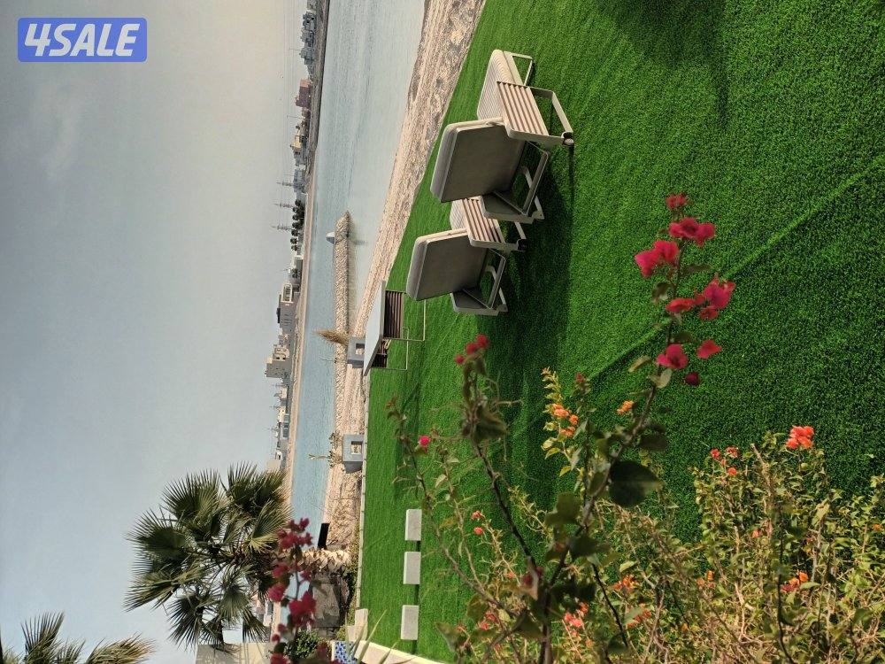 زراعة وتنسيق حدائق10