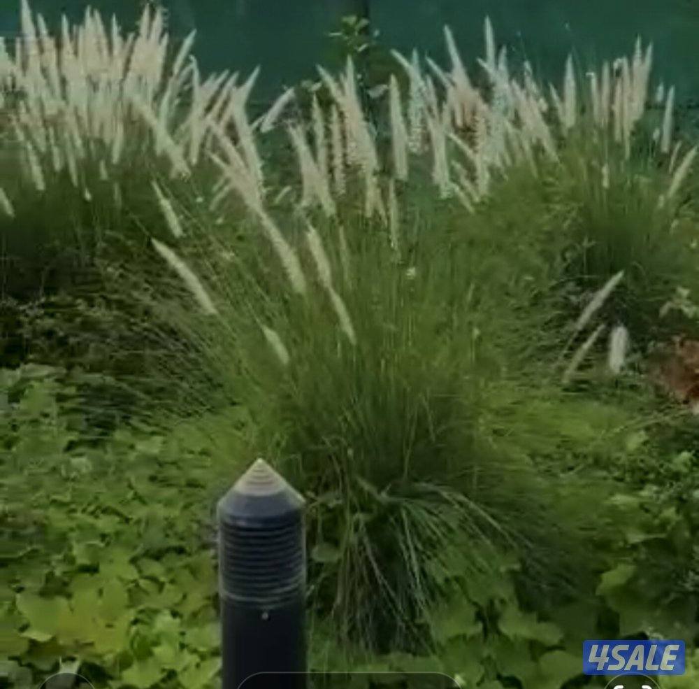 زراعة وتنسيق حدائق15