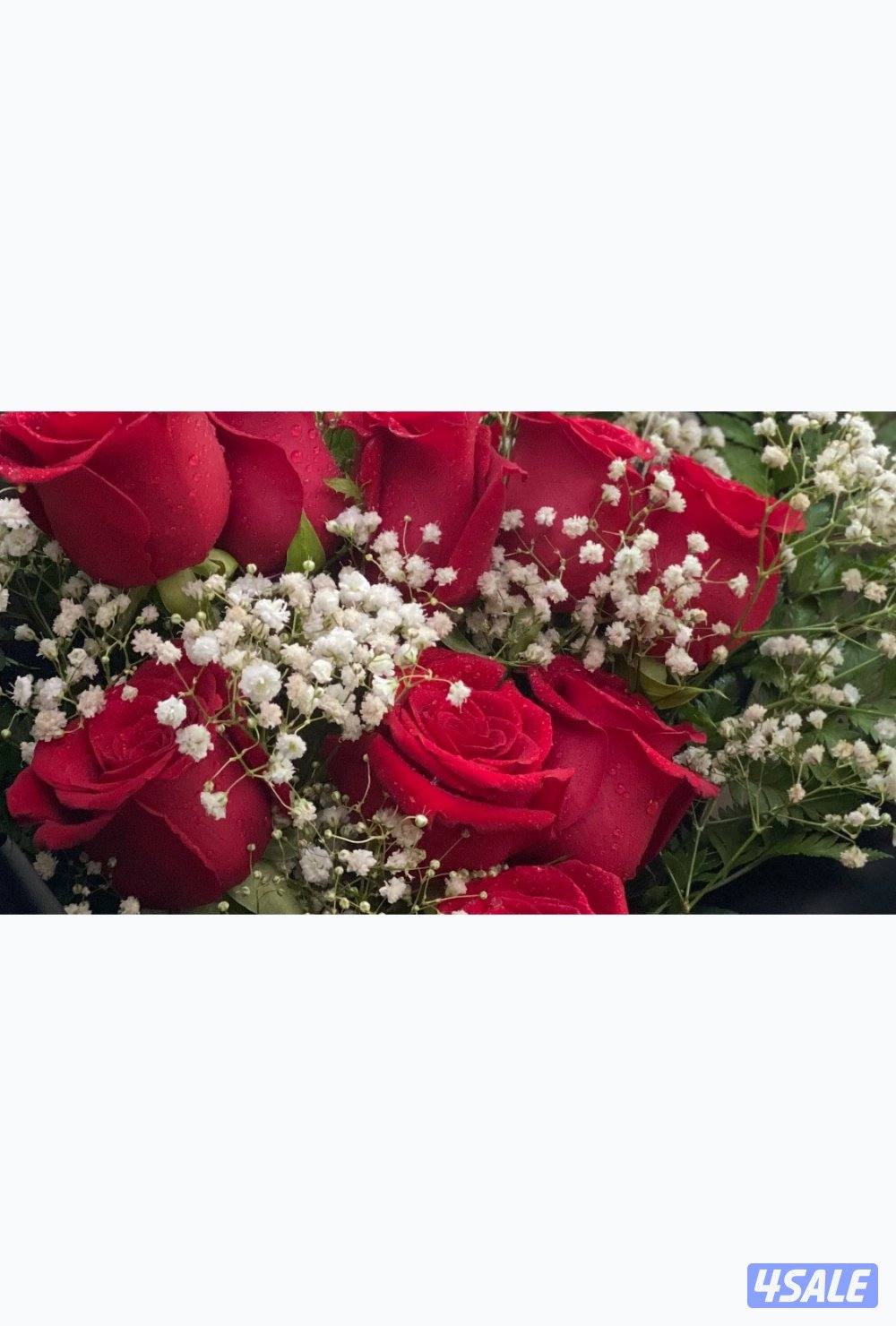 محمد عدنان مهندس سوري عمري 28 سنة لدي ليسن و سيارة ابحث عن عمل0