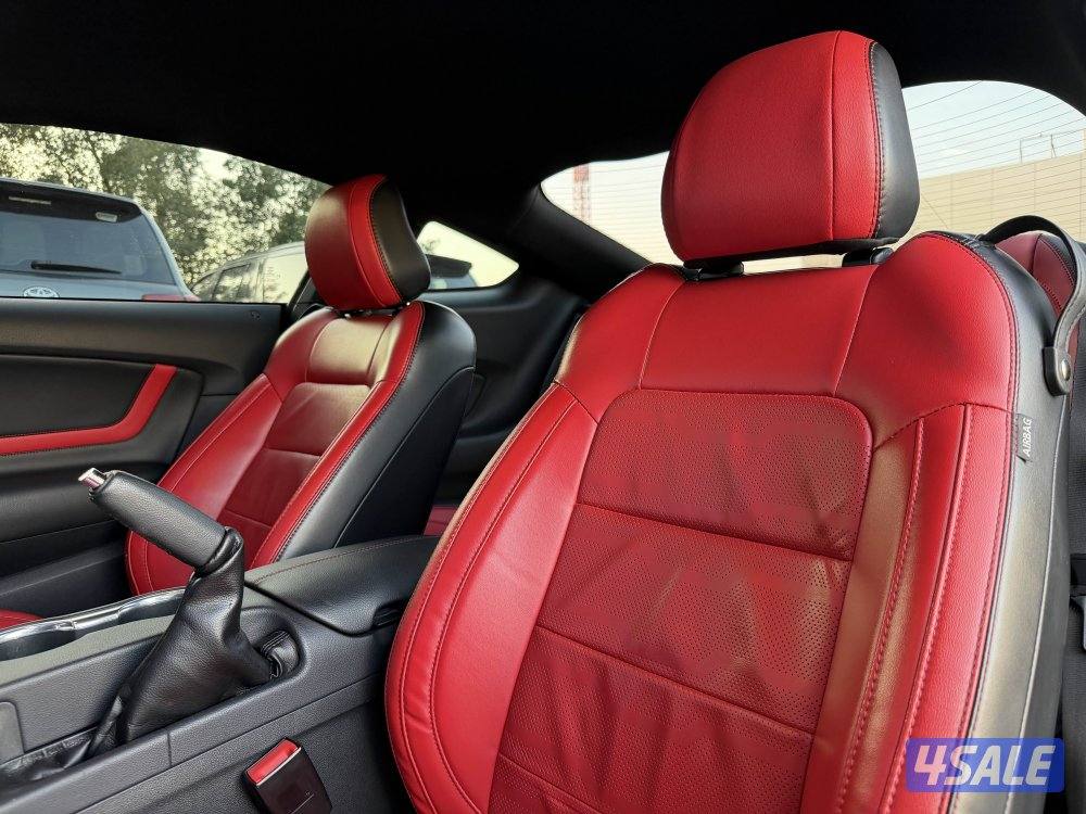 MUSTANG GT V8 _20198