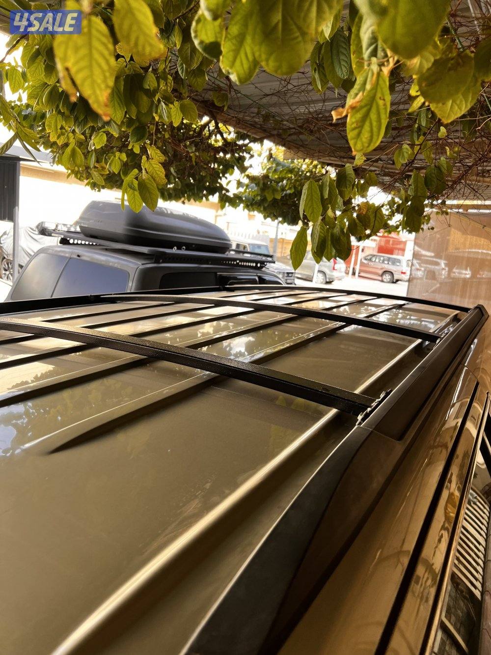 ريش سله يوكن3