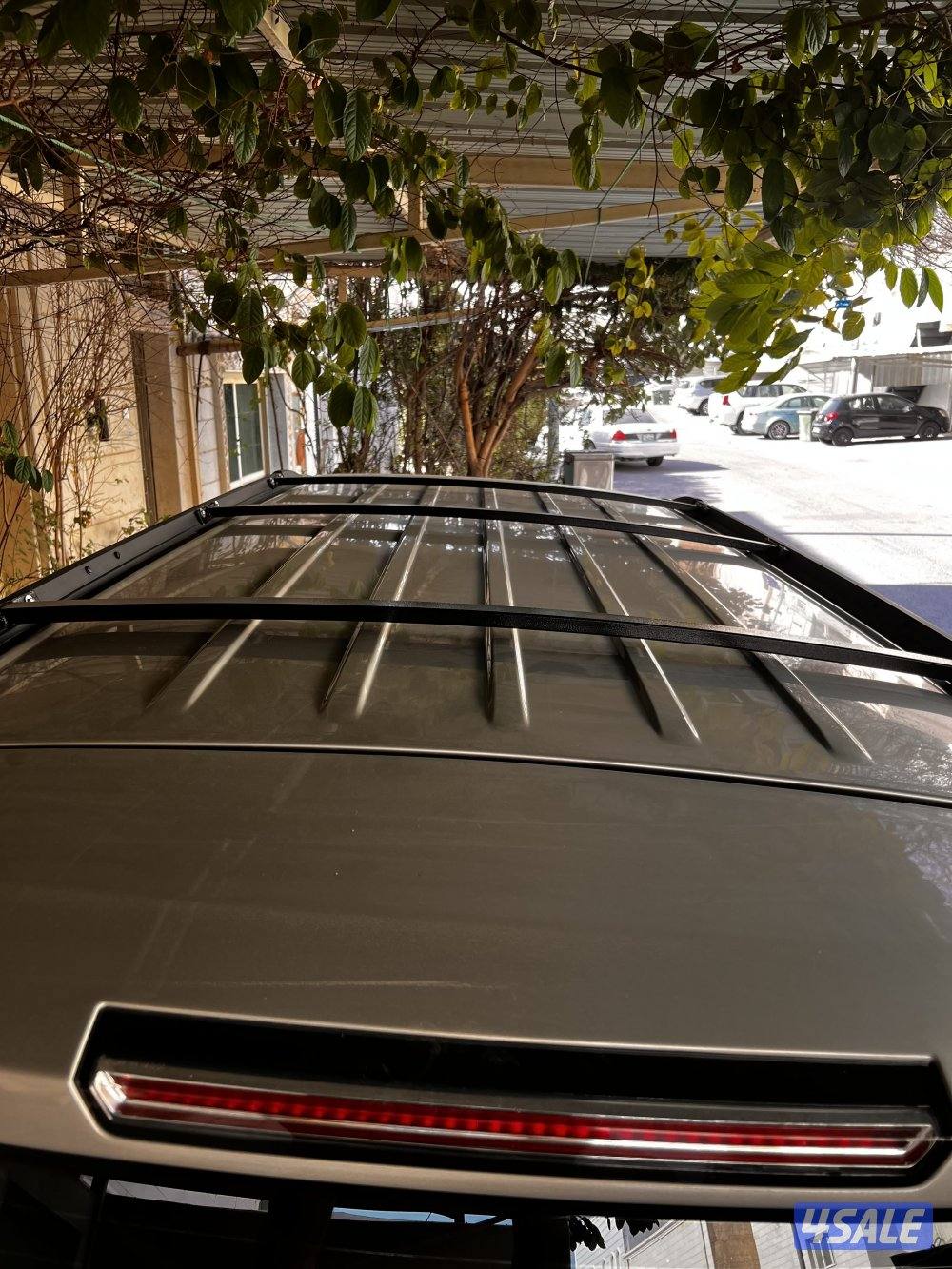 ريش سله يوكن4