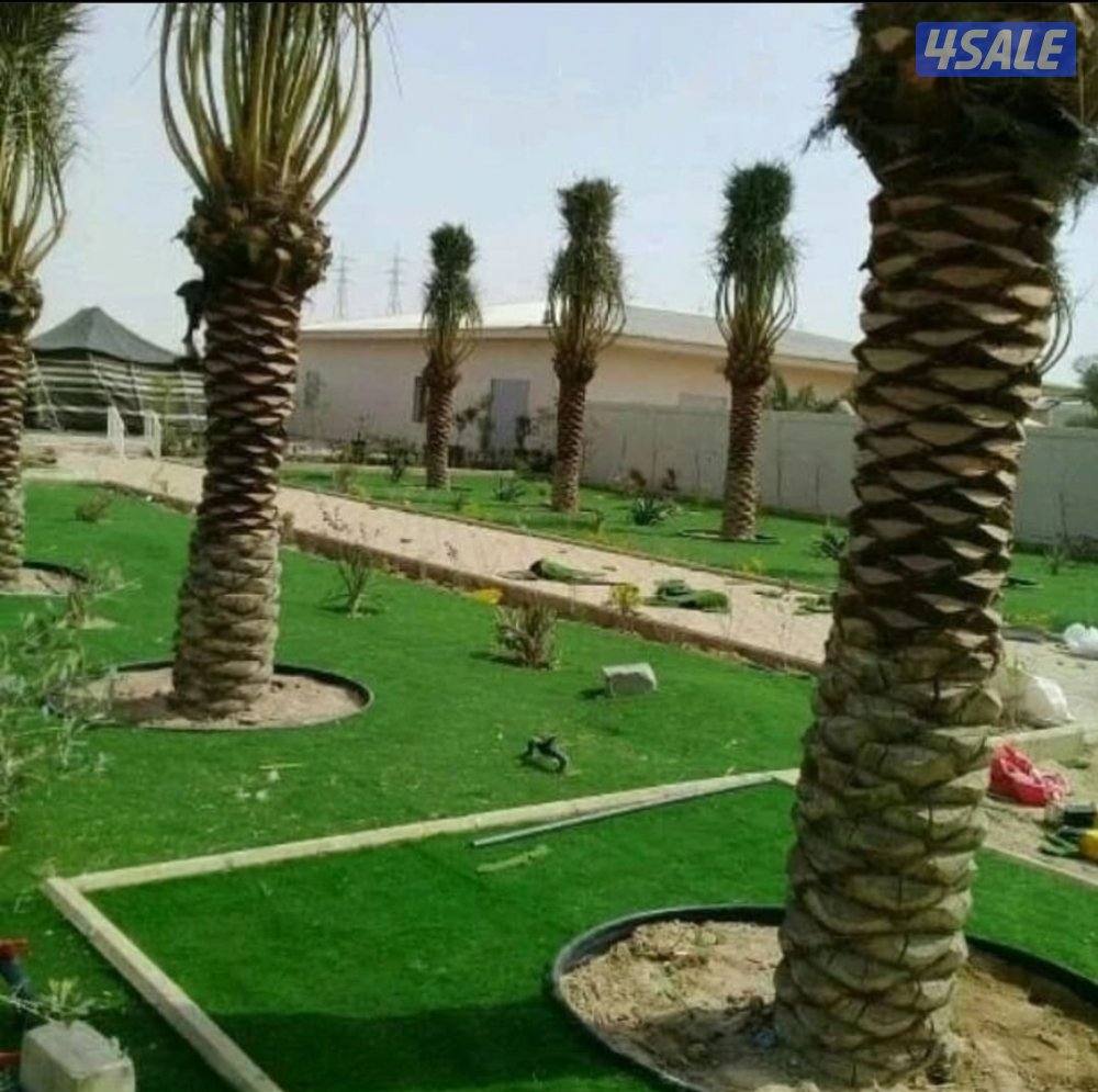 اداره ابو علي لتنسيق الحدائق وعمل النوافير والشلالات10