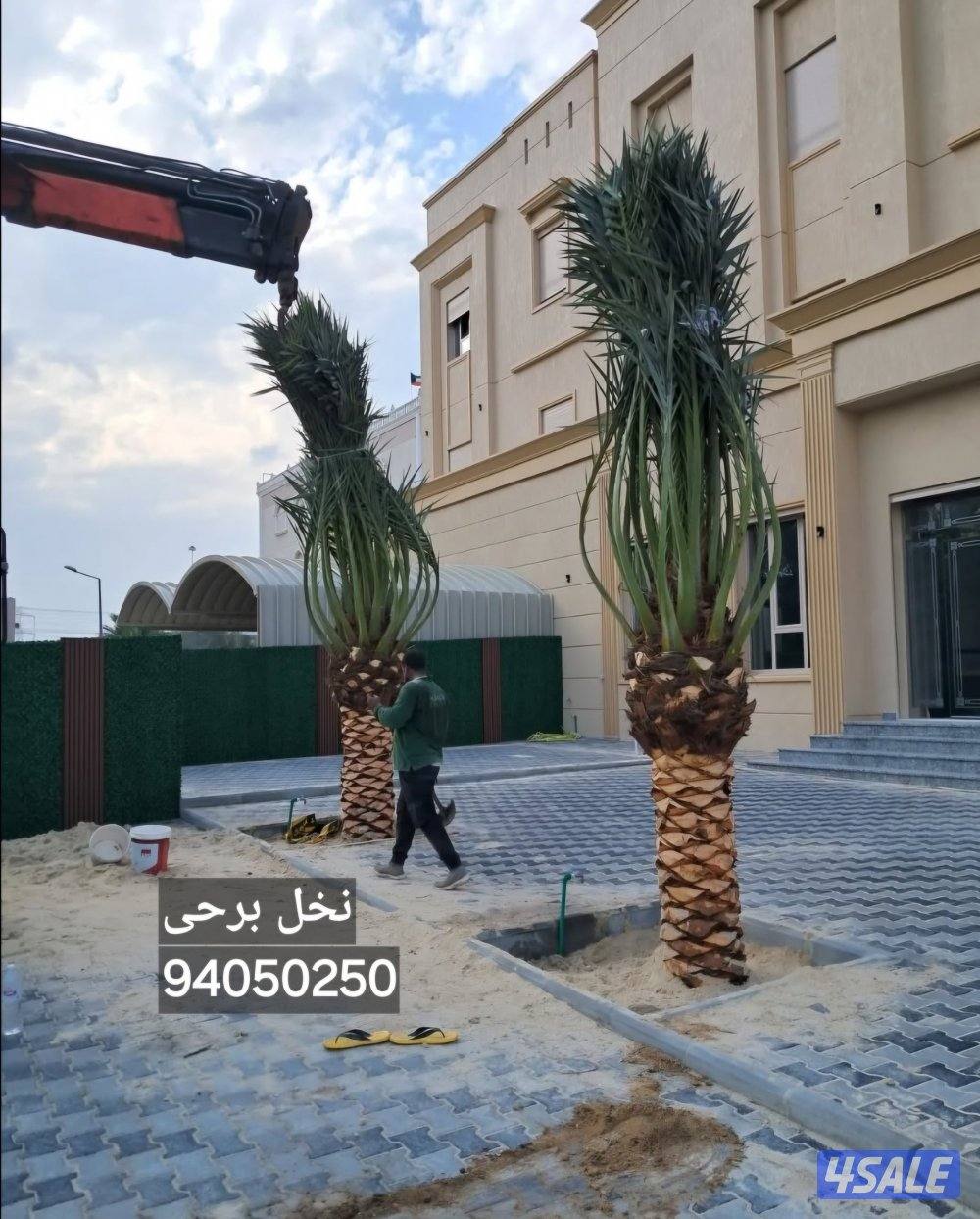 اداره ابو علي لتنسيق الحدائق وعمل النوافير والشلالات11