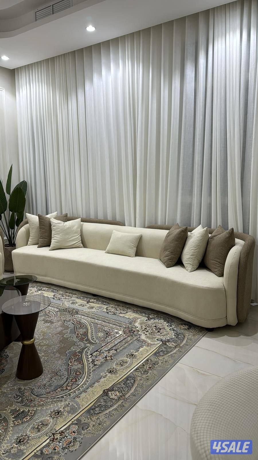 الفرونيه الضجيج8