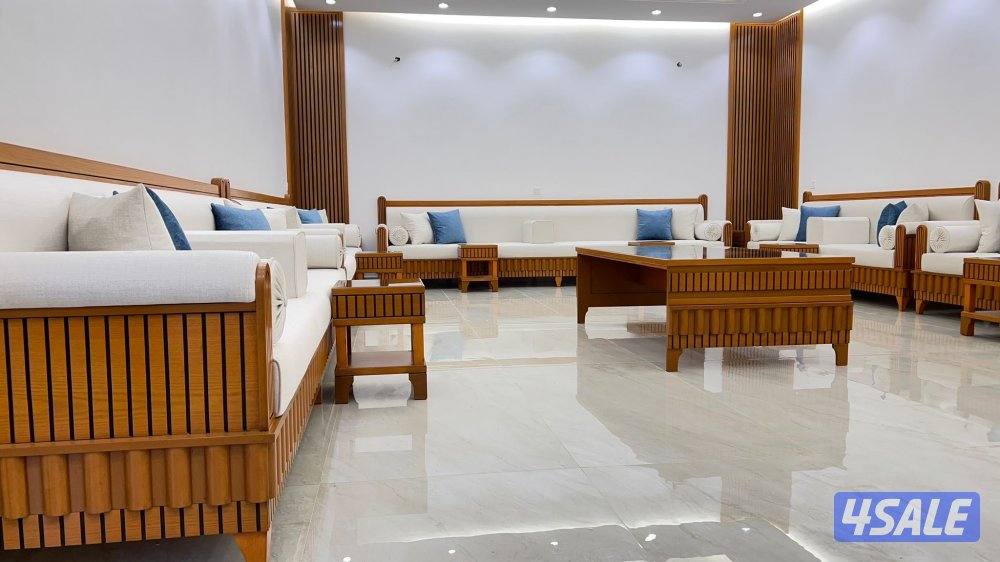 الفرونيه الضجيج15