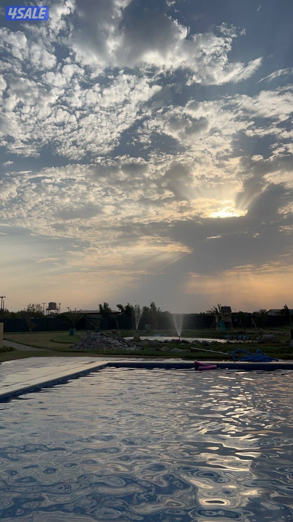 للبيع مزرعة فخمة بالوفرة من المالك مباشرة0