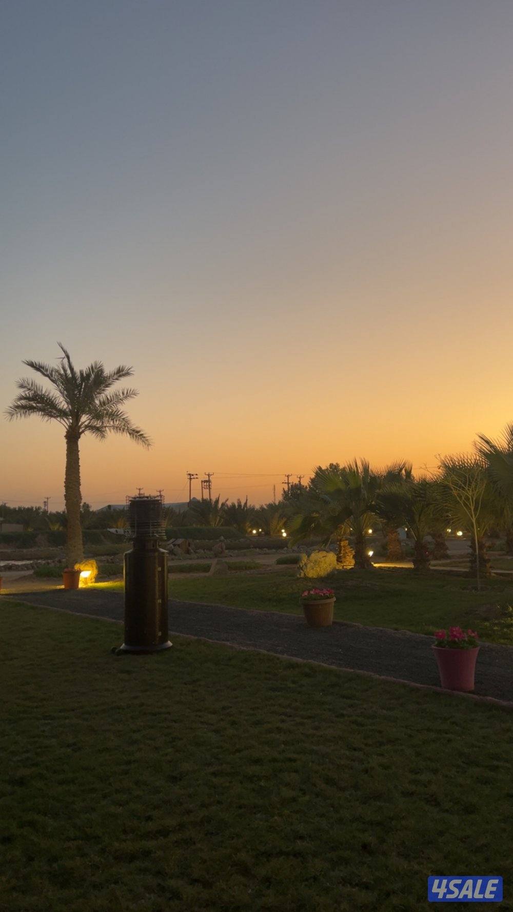 للبيع مزرعة فخمة بالوفرة من المالك مباشرة1