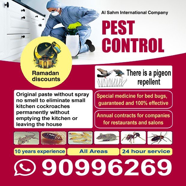 شركة السهم / مشترك بحث0