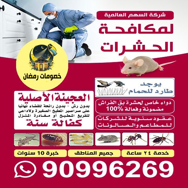 شركة السهم / مشترك بحث1