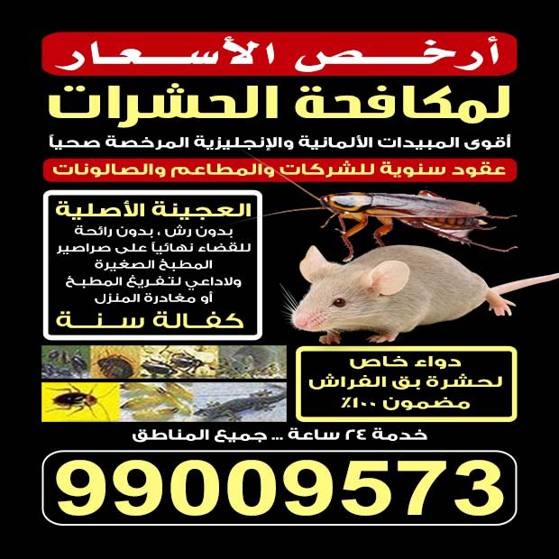 محمد / مشترك بحث1