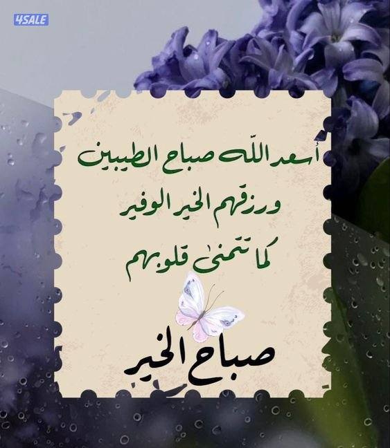 محاسب خبره يطلب عمل مناسب0