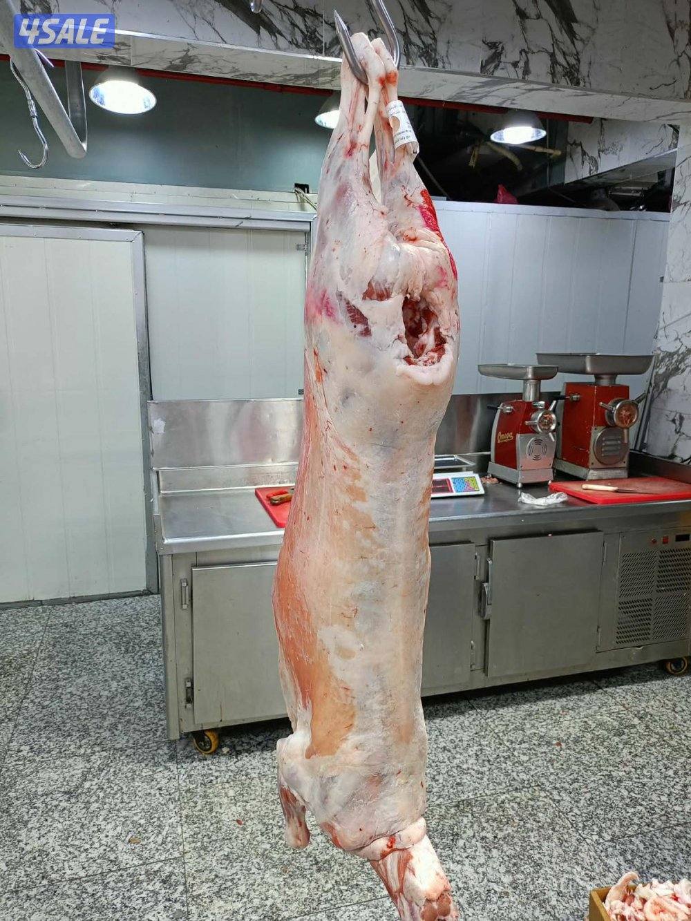 ذبايح نعيمي محلي0