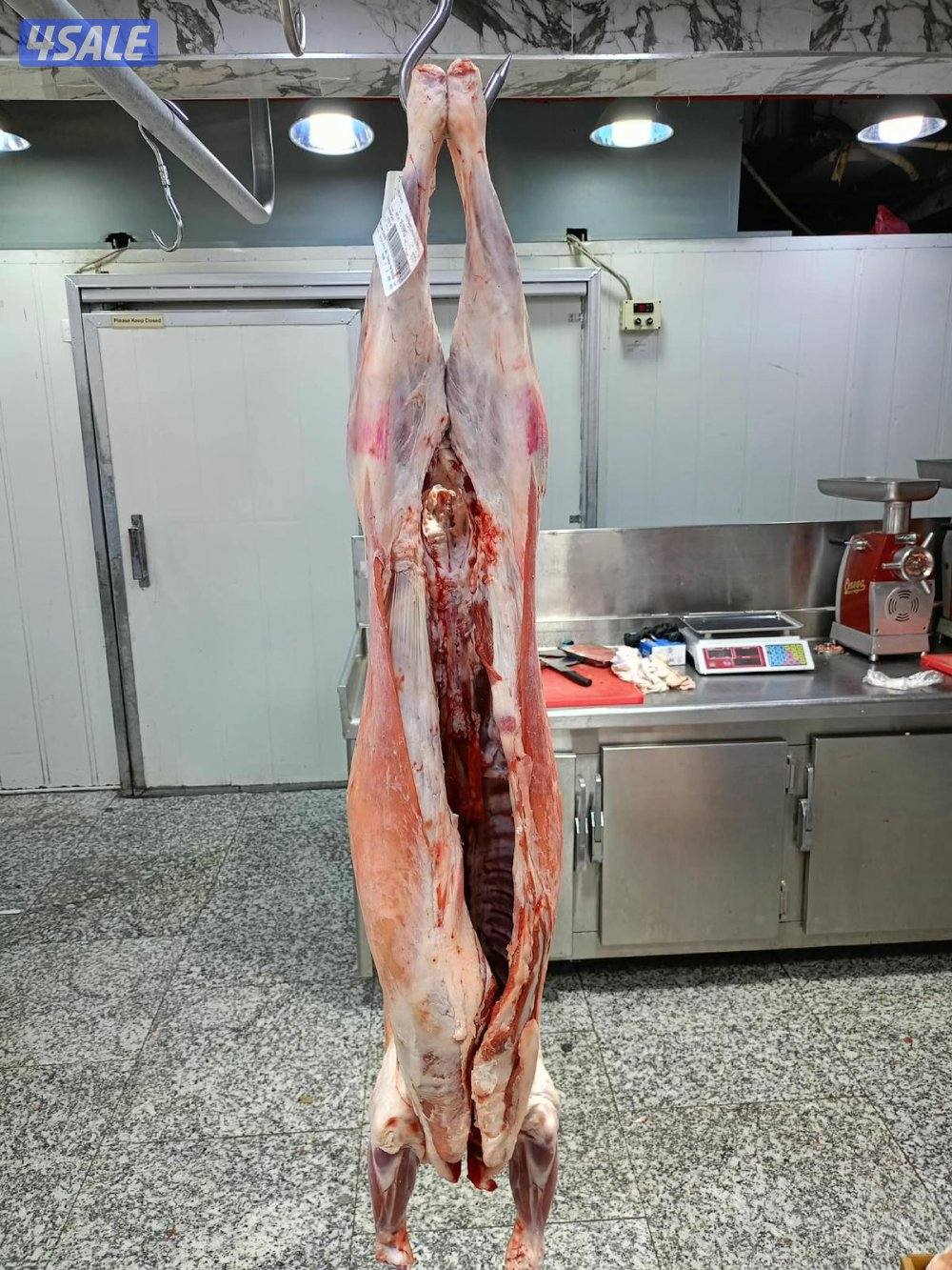 ذبايح نعيمي محلي1