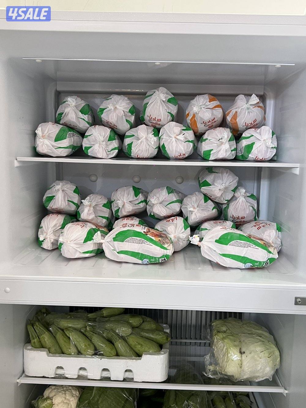 ثلاجات  علي  الغاز احجام  مختلفه12