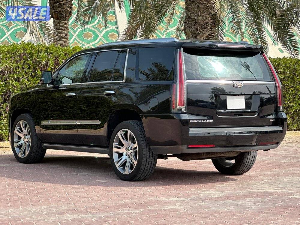 سكاليد Premium موديل 2015 ماشي 111 الف5