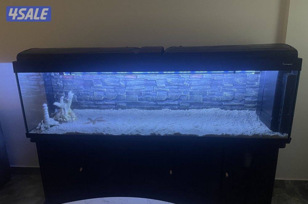 حوض سمك 600 لتر1