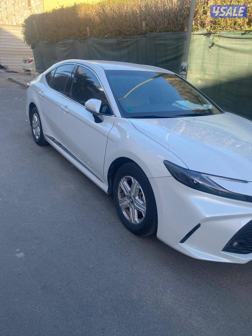 كامري صدفي0