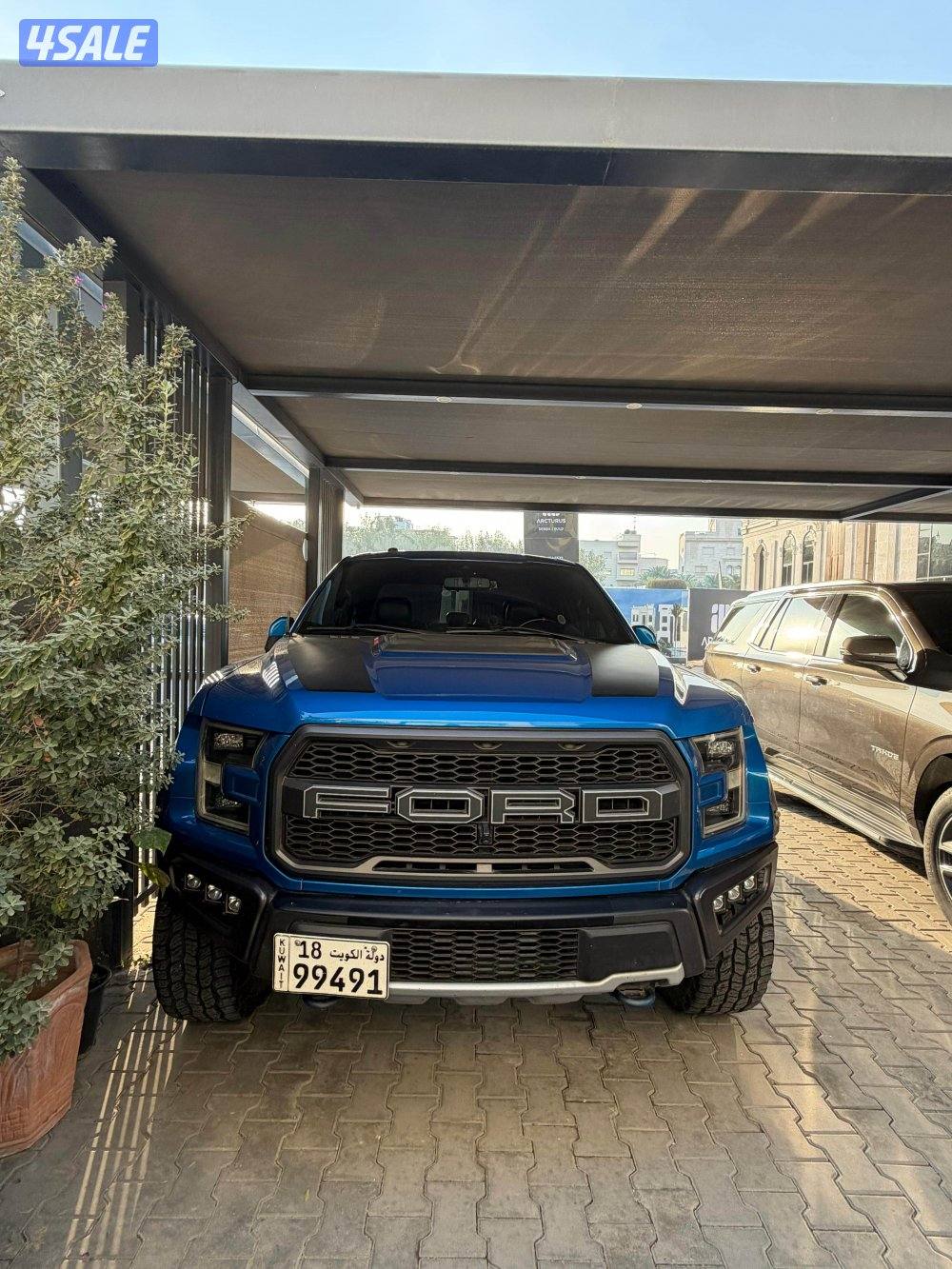 رابتر 2019 صبغ الوكاله1