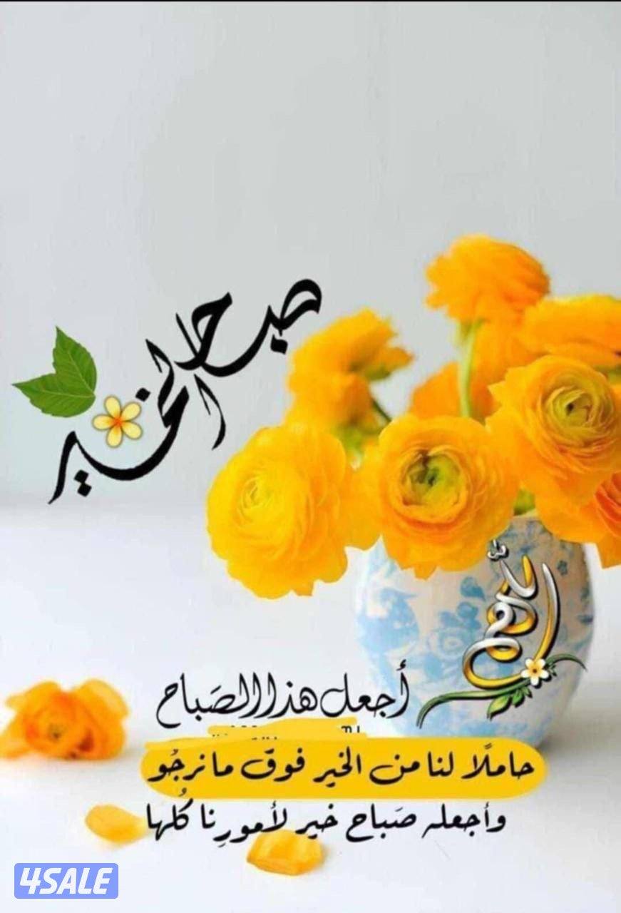 الصباحيه/ الرقه/أم الهيمان/هديه/مبارك الكبير/فهد الاحمد/جابر العلى0