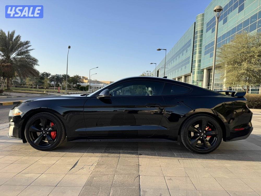 للبيع : موستانج 5.0: موديل 2023 : عداد 49 الف كم6