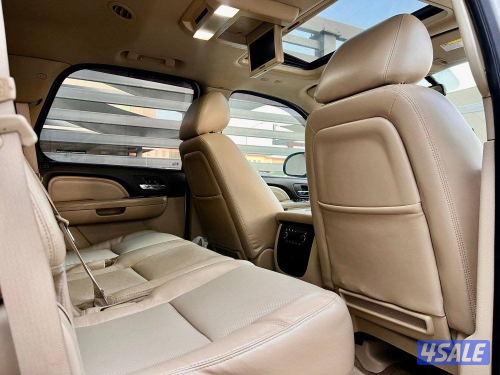 دينالي 2011 صبغ الوكاله9