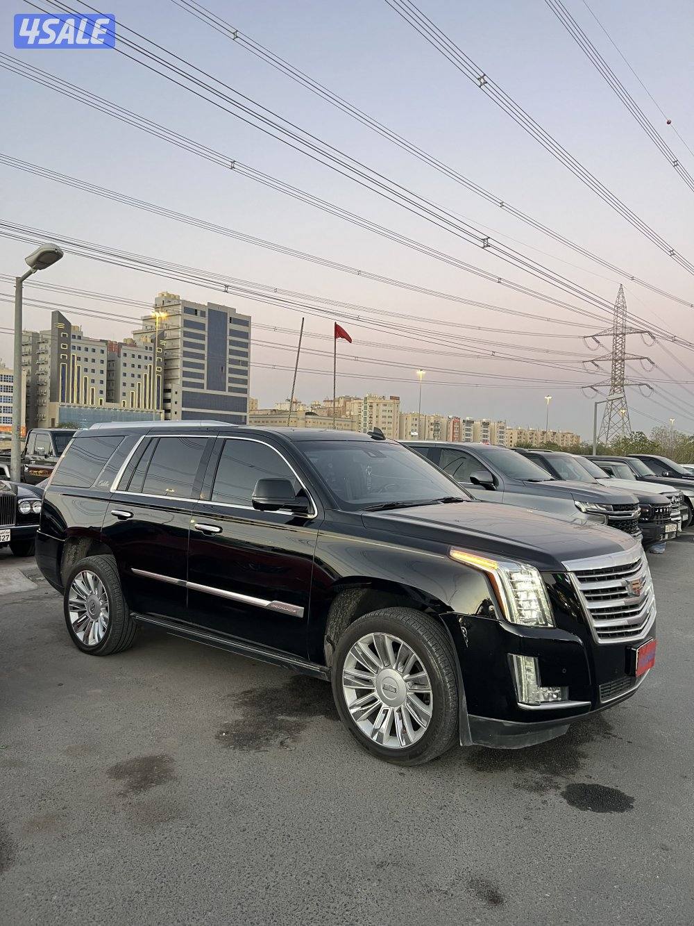 اسكاليد 2015 بلاتينيوم1