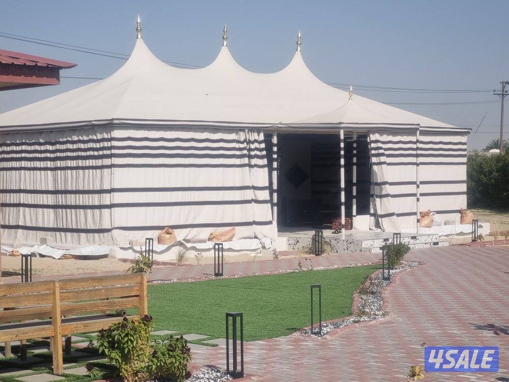 ديوانيا سوبر مالاكي بهيث شار0