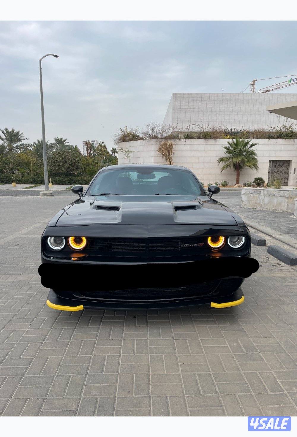 للبيع للبيع للبيع8