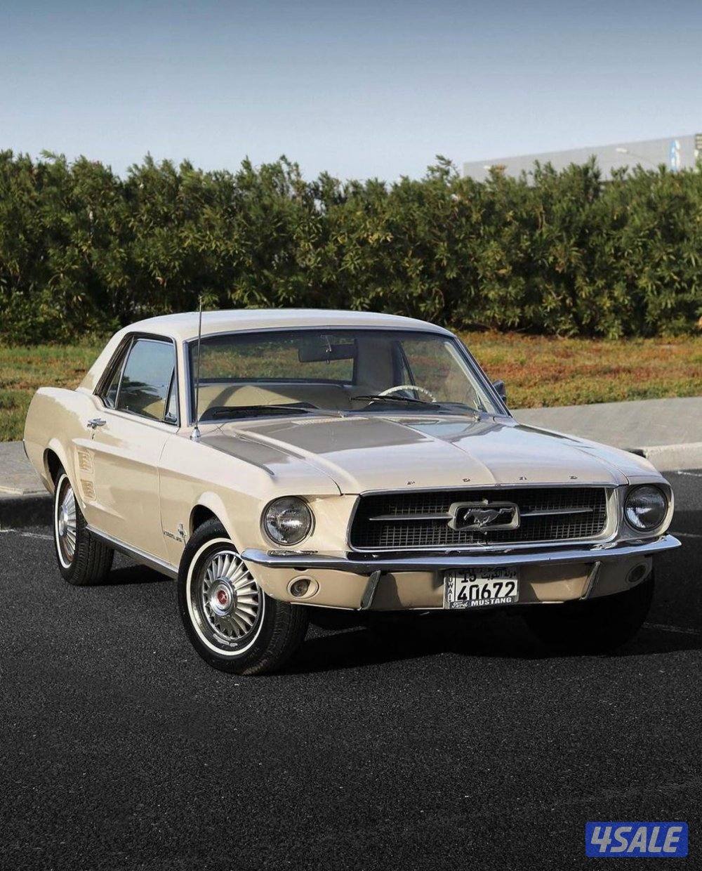 موستنق موديل ١٩٦٧ ((الموتر وكككاله))3