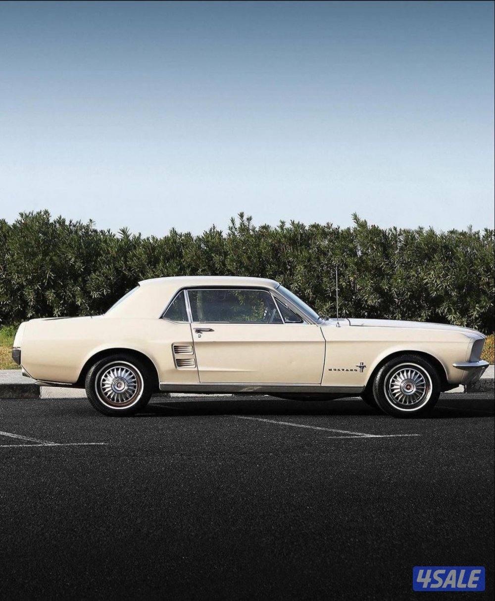 موستنق موديل ١٩٦٧ ((الموتر وكككاله))4