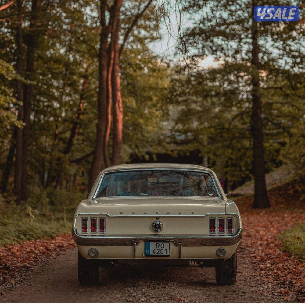 موستنق موديل ١٩٦٧ ((الموتر وكككاله))5