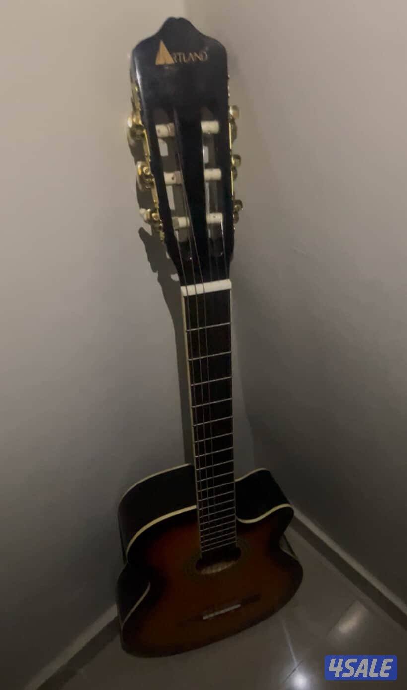 artland guitar0