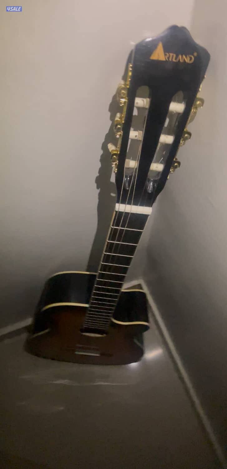 artland guitar1