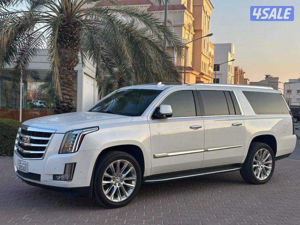 كاديلاك اسكاليد XL 2019 صبغ الوكالة0