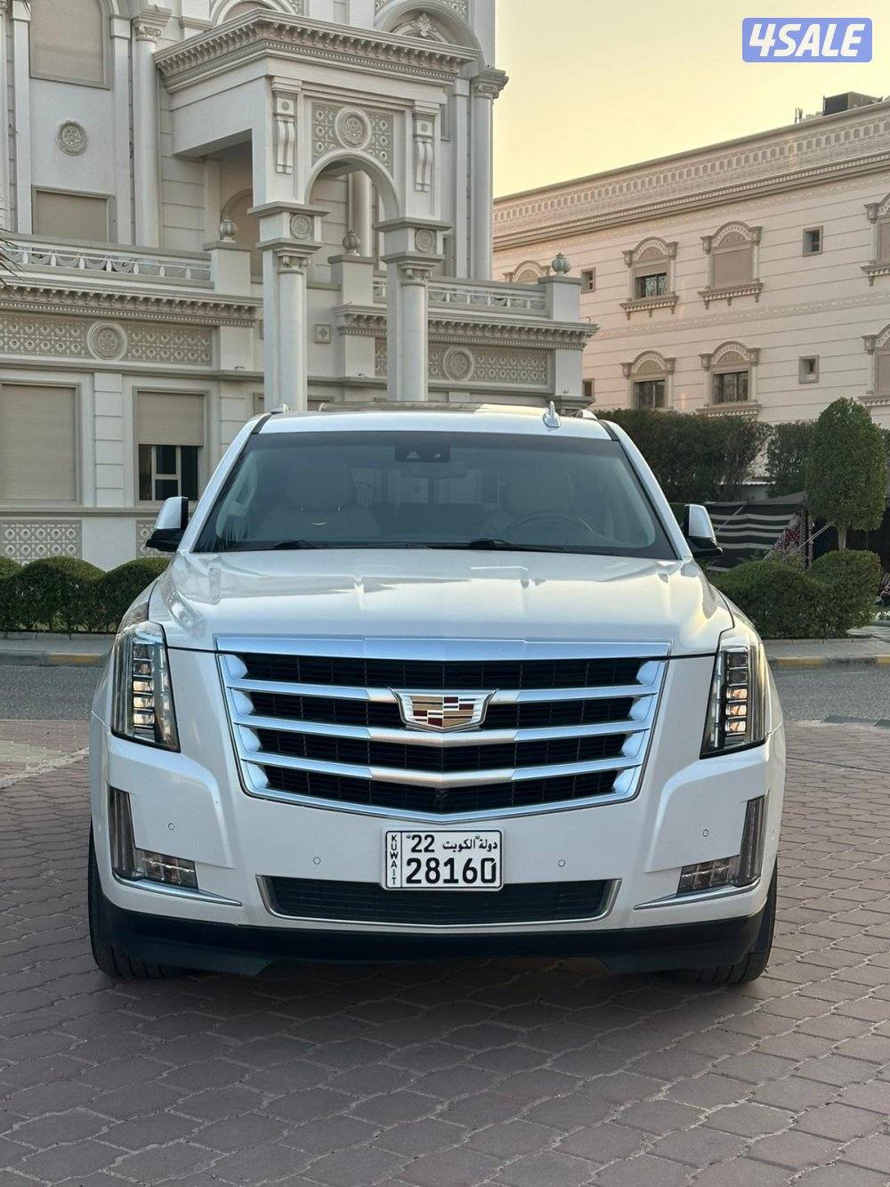 كاديلاك اسكاليد XL 2019 صبغ الوكالة1