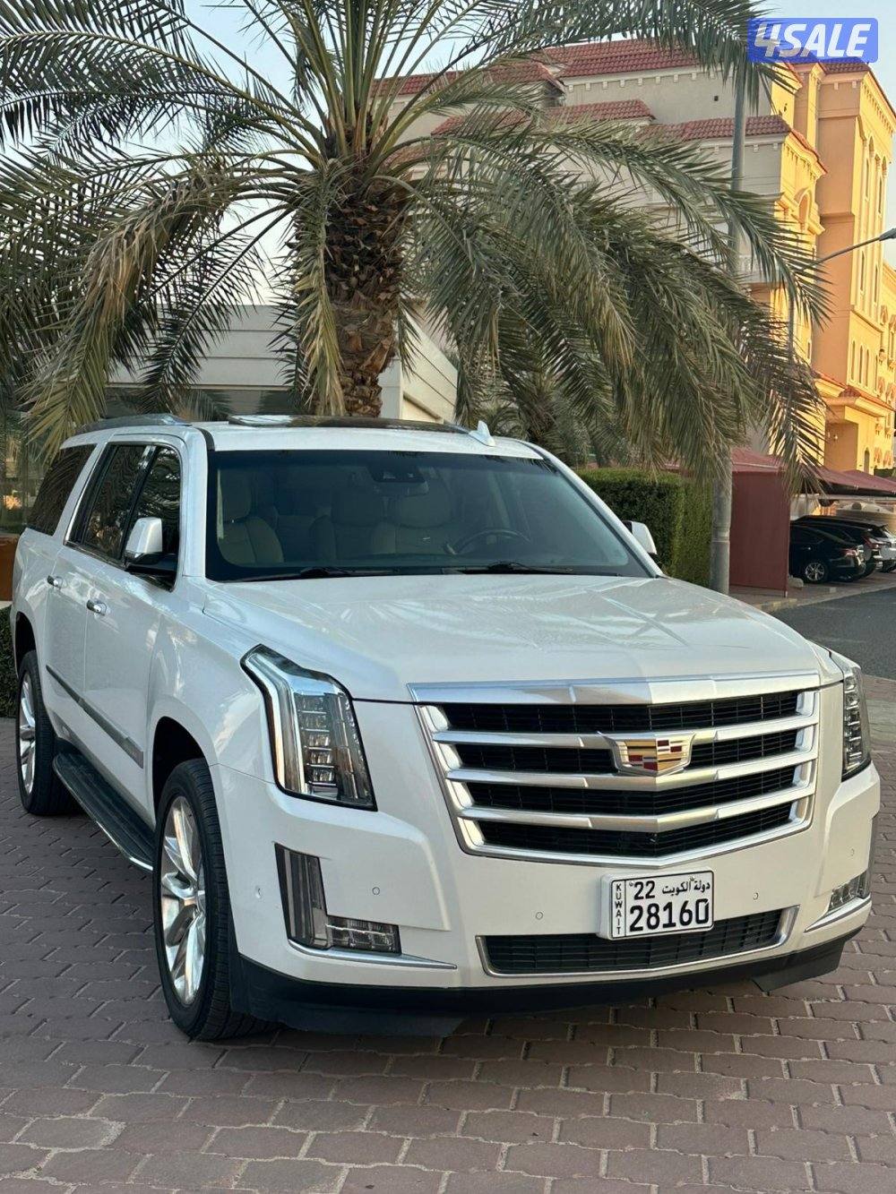 كاديلاك اسكاليد XL 2019 صبغ الوكالة2