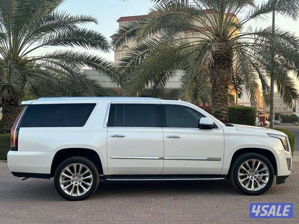 كاديلاك اسكاليد XL 2019 صبغ الوكالة3